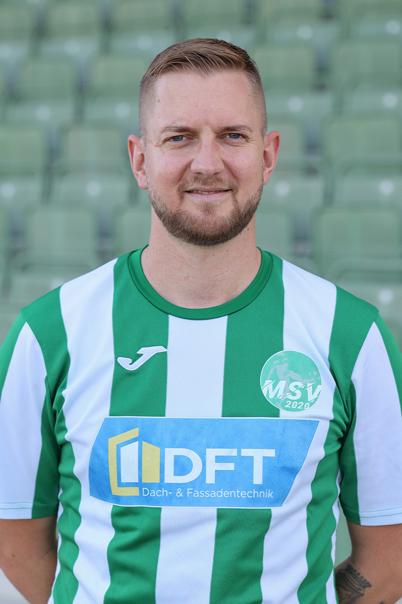 Theiler-Markus